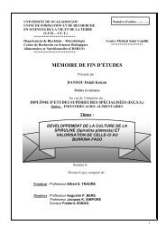 MÃMOIRE DE FIN D'ÃTUDES