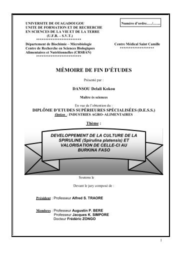 MÃMOIRE DE FIN D'ÃTUDES