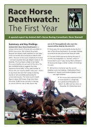 download report (pdf) - Race Horse Death Watch