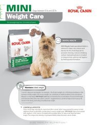 Dogs between 9 lb and 22 lb - Royal Canin Canada