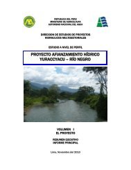 proyecto afianzamiento hÃ­drico yuraccyacu â rÃ­o negro - Autoridad ...