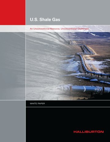 U.S. Shale Gas - Halliburton