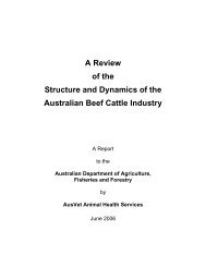 A Review of the Structure and Dynamics of the Australian Beef ...