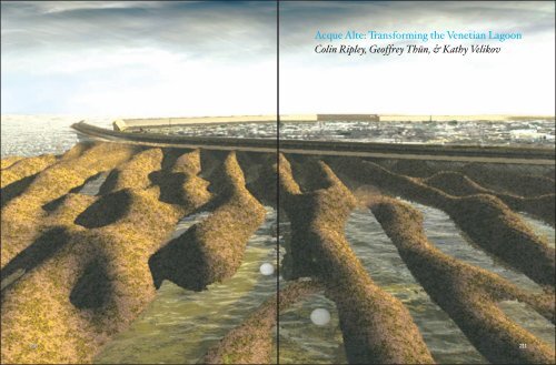 Acque Alte: Transforming the Venetian Lagoon Colin Ripley ... - rvtr