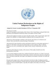 United Nations Declaration on the Rights of Indigenous Peoples