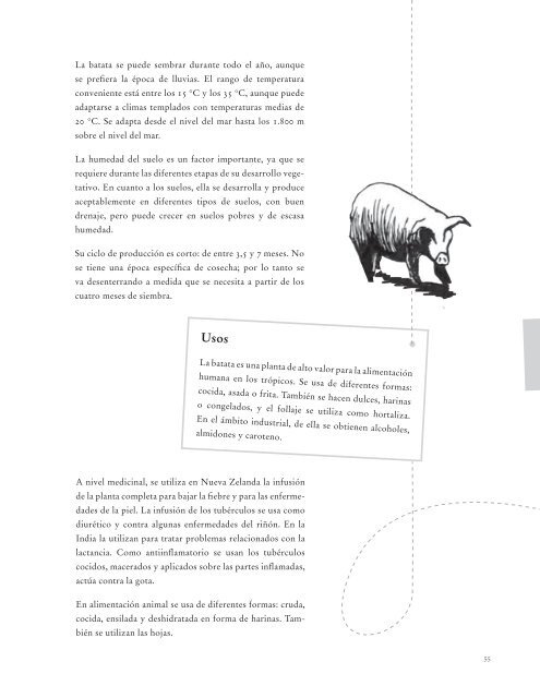 Alternativas de manejo para la producciÃ³n tradicional del cerdo en ...