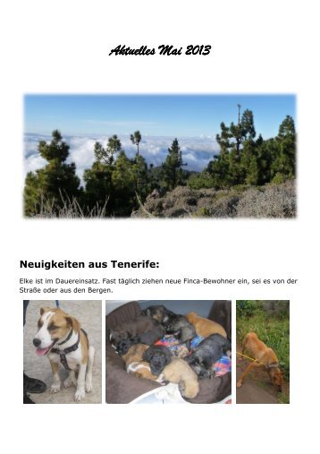 Aktuelles Mai Aktuelles Mai 2013 - Pro Animal de Tenerife Waldhunde