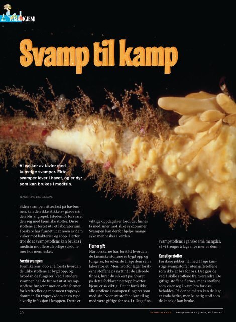 "Svamp til kamp" (pdf) - Nysgjerrigper