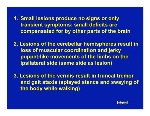 Cerebellum