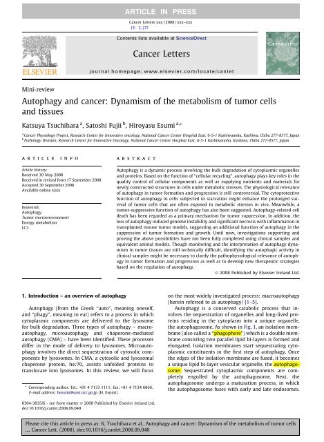 Autophagy and cancer: Dynamism of the ... - ResearchGate