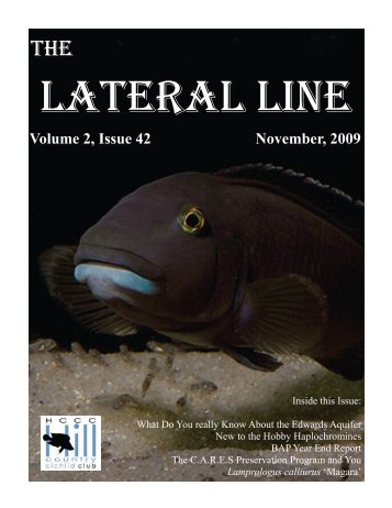 Volume 2, Issue 42 November, 2009 - Hill Country Cichlid Club