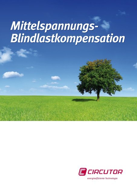 Mittelspannungs- Blindlastkompensation Mittelspannungs ... - infga