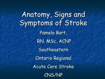 Anatomy Sign Symptoms of Stroke - The Stroke Network of ...