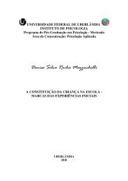 Denise Silva Rocha Mazzuchelli - Universidade Federal de ...