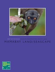 MAMABAY LAND/SEASCAPE - Wildlife Conservation Society