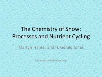 The Chemistry of Snow: Processes and Nutrient Cycling