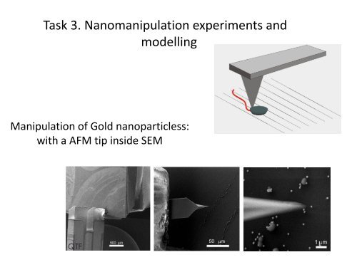 Structural transformations in pentagonal nanocrystals ... - Tartu