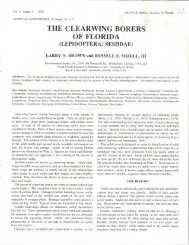 the clearwing borers of florida (lepidoptera: sesiidae)