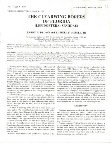 the clearwing borers of florida (lepidoptera: sesiidae)