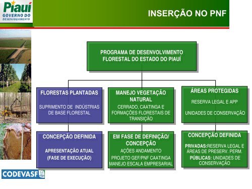 Apresentação do PowerPoint - Associação Brasileira de Produtores ...