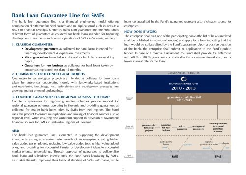 Promoting small and medium-sized enterprises with equity and debt ...