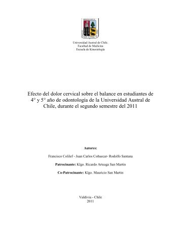 MARCO TEORICO - CyberTesis UACh - Universidad Austral de Chile