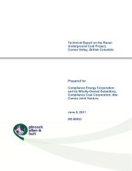 Technical Report on the Raven Underground Coal Project, Comox ...