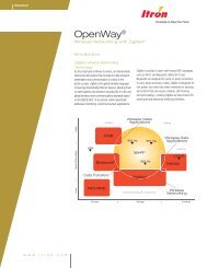 OpenWay ZigBee - Itron