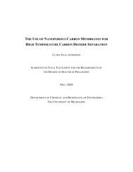the use of nanoporous carbon membranes for high temperature ...