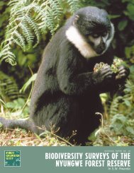 Biodiversity Surveys of the Nyungwe Forest Reserve in SW Rwanda