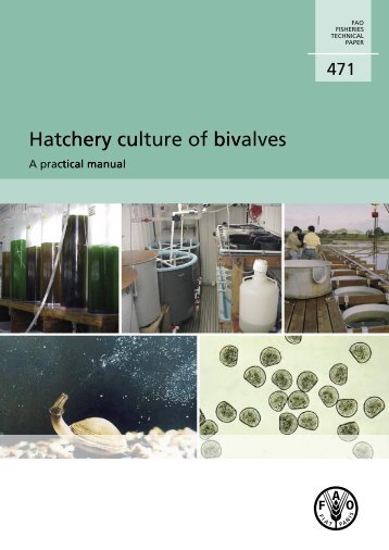 Hatchery culture of bivalves - FAO.org