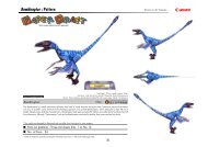 Bambiraptor : Pattern