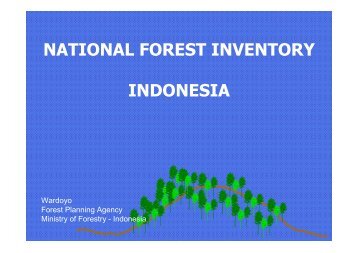 NATIONAL FOREST INVENTORY INDONESIA - DPI