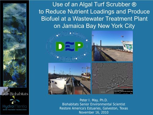 Use of an Algal Turf Scrubber Â® to Reduce Nutrient Loadings and ...