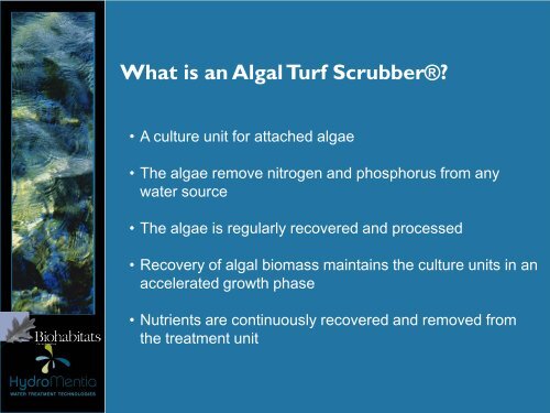 Use of an Algal Turf Scrubber Â® to Reduce Nutrient Loadings and ...