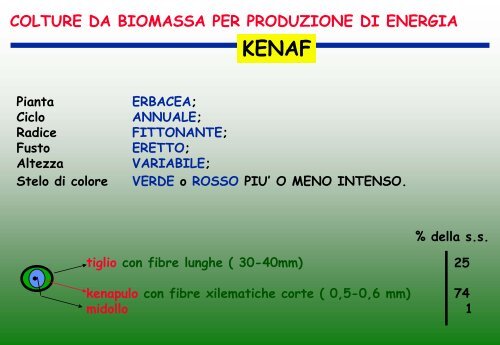 colture da biomassa per produzione di energia miscanto