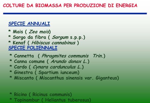 colture da biomassa per produzione di energia miscanto