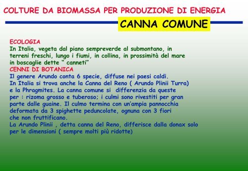 colture da biomassa per produzione di energia miscanto