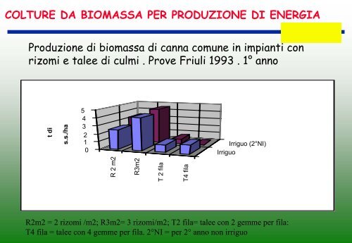 colture da biomassa per produzione di energia miscanto