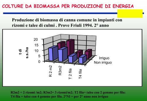 colture da biomassa per produzione di energia miscanto