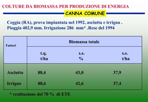 colture da biomassa per produzione di energia miscanto