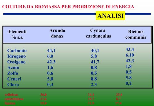 colture da biomassa per produzione di energia miscanto