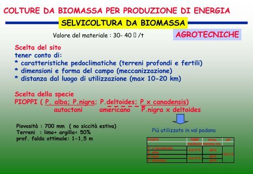 colture da biomassa per produzione di energia miscanto