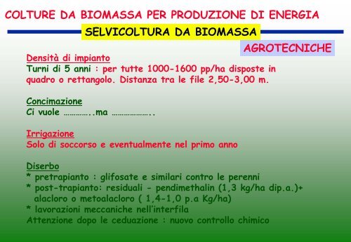 colture da biomassa per produzione di energia miscanto