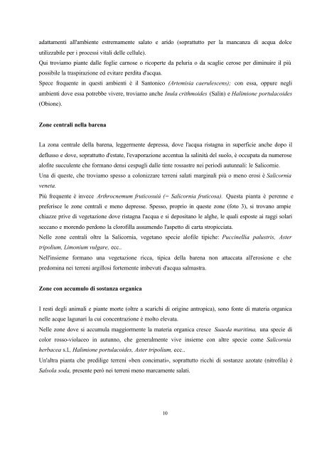 flora e vegetazione delle barene - Istituto Veneto di Scienze, Lettere ...