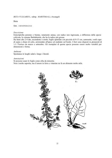 flora e vegetazione delle barene - Istituto Veneto di Scienze, Lettere ...