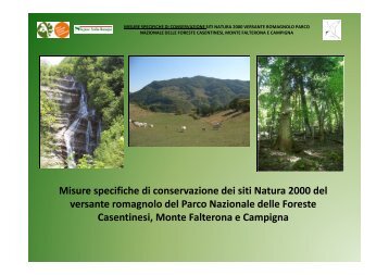 Minacce - Parco Nazionale delle Foreste Casentinesi