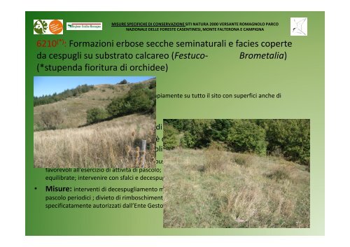 Minacce - Parco Nazionale delle Foreste Casentinesi