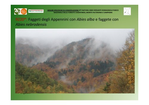 Minacce - Parco Nazionale delle Foreste Casentinesi