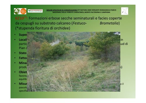 Minacce - Parco Nazionale delle Foreste Casentinesi